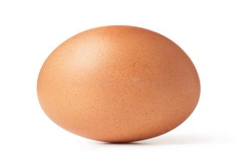 Egg